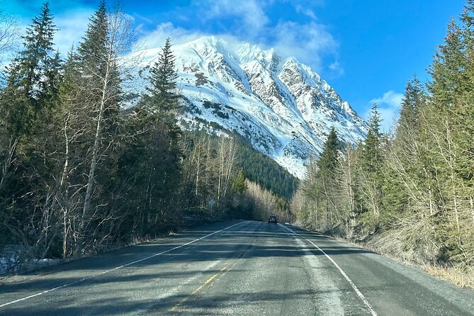 Seward to Anchorage Full Day Transit Tour With Port Pickup - Value and Pricing
