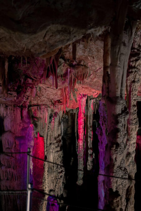 Sfendoni Cave and Shepherds Shelter … - Booking and Cancellation Policy