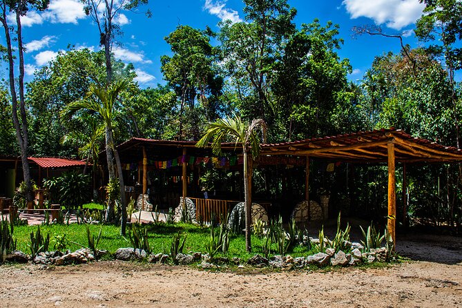 Shared ATV, Zipline, and Cenote Adventure From Playa Del Carmen - Reviews and Traveler Feedback