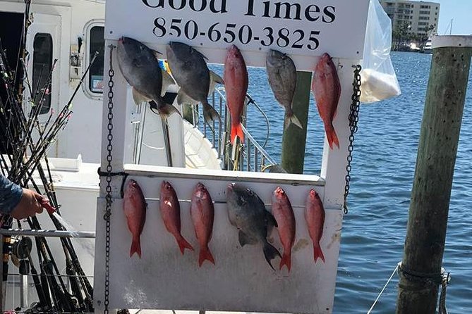Shared Deep Sea Fishing Trip - What to Expect on the Trip
