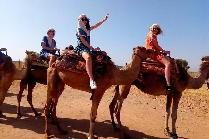 Shared Excursion From Marrakech to Agafay Desert With Dinner and Camel Ride - Customer Reviews and Ratings