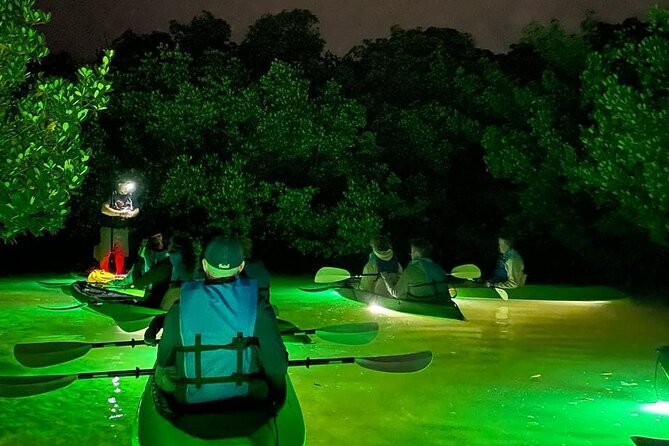 Sharkeys Glass Bottom Fish Feeding LED Night Tour in Sarasota - Handling of Cancellations and Communication Issues