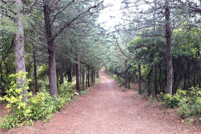 Shepherds' Tracks Through Forests and Natural Springs - Ask Away