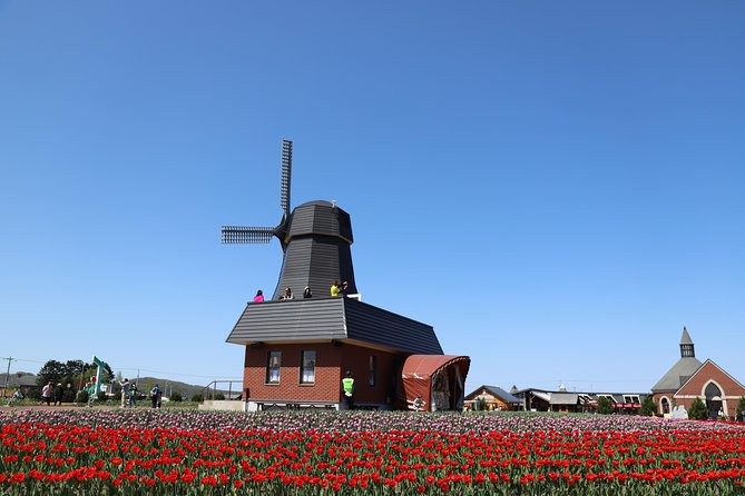 [Shibazakura / Tulip] Going by Private Car, Shibazakura Takinoue Park and Kamiyubetsu Tulip Park (From Sapporo) - Shibazakura Takinoue Park