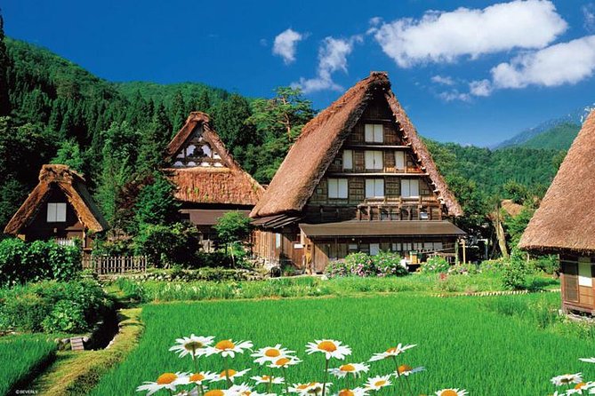 Shirakawago All Must-Sees Private Chauffeur Tour With a Driver (Takayama DEP.) - Traveler Reviews and Feedback