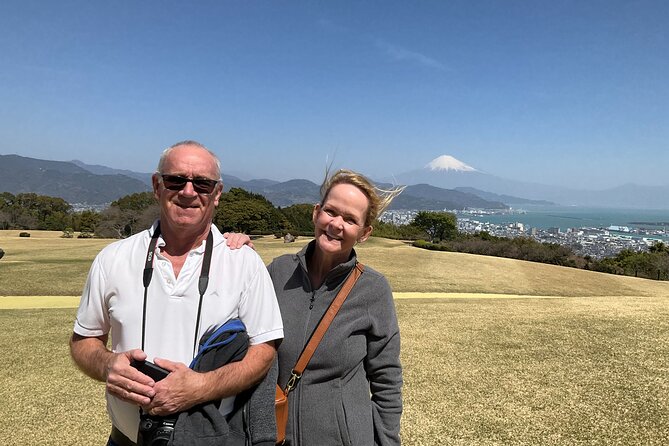 Shizuoka 6hr Private Tour and Japanese Tea Farm Tour With Vehicle - Customizable Sites