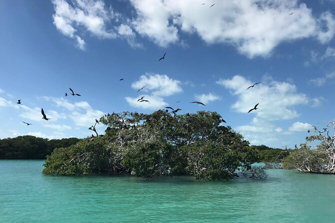Sian Kaan Trip From Playa Del Carmen & Tulum - Booking Information