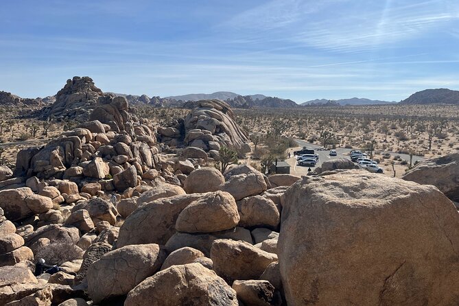 Sightseeing Adventure Tour of Joshua Tree National Park - Practical Information and Considerations