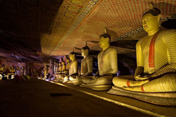Sigiriya Lion Rock & Dambulla Tour Review - Positive Guest Reviews and Feedback