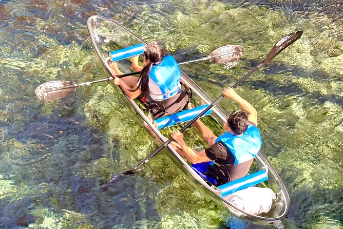 Silver Springs Clear Kayak Manatee & Monkey Adventures - Health and Safety Considerations