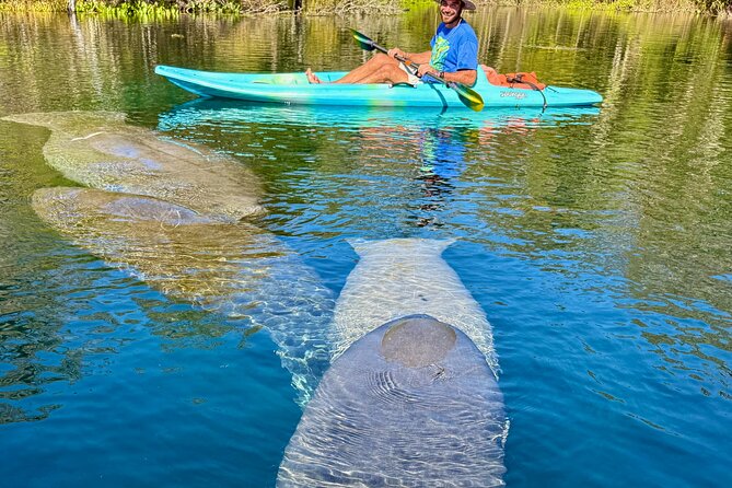 Silver Springs Premium Florida Manatee & Wildlife Experience - Eco-Friendly Commitment