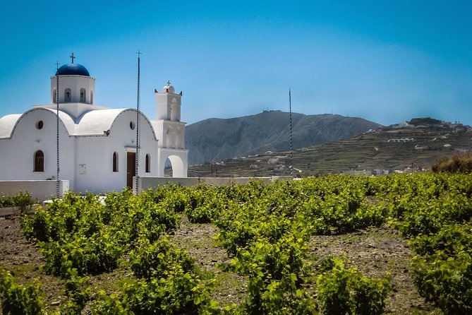Sip Your Way Around Santorini Private Wine Tour - Booking and Availability