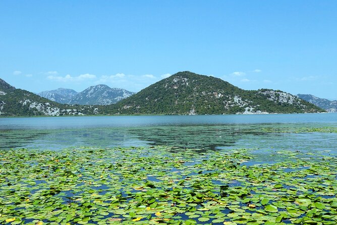 Skadar Lake Day Trip From Herceg Novi - Why Visit Skadar Lake