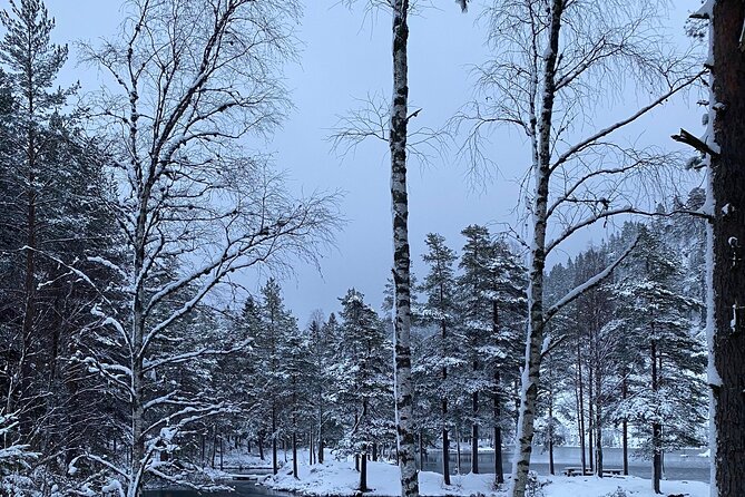 Skogshytte Norwegian Winter Cabin Destination Hike - The Return Journey