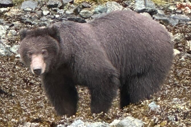 Small Group Boat Tour of Sitka - Knowledgeable and Friendly Guides