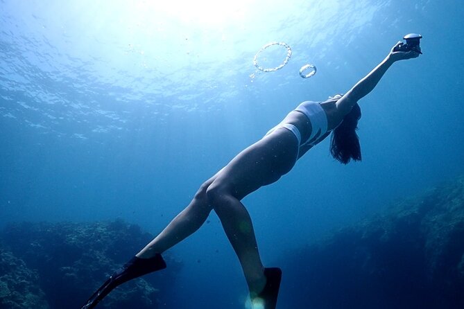Small Group Diving Activity in Miyakojima - Discover the Diverse Marine Life