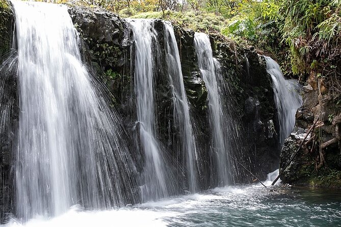 Small Group Full Day Road to Hana Adventure - Highlights and Hidden Gems