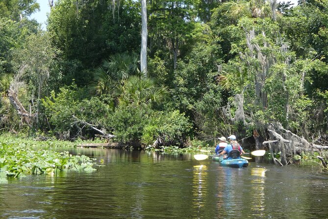 Small Group Scenic Wekiva River Kayak Tour Review - Scenic Wekiva River Kayaking Experience