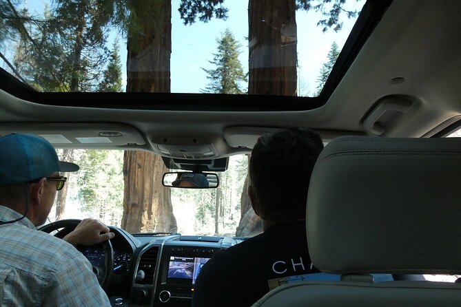 Small Group Sequoia Tour Review - Unique Aspects of the Experience