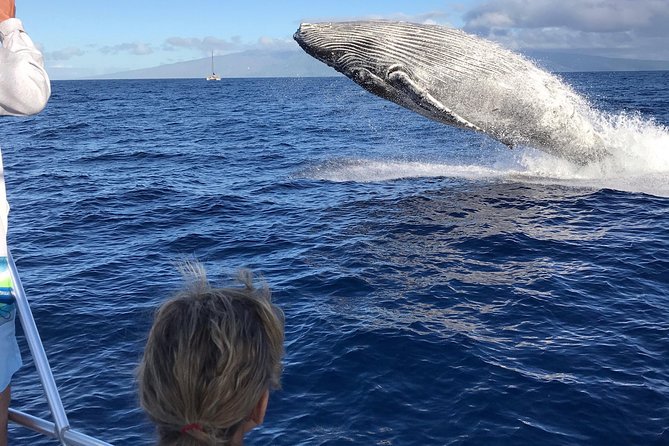 Small-Group Whale Watching Adventure - Educational and Fun Encounters