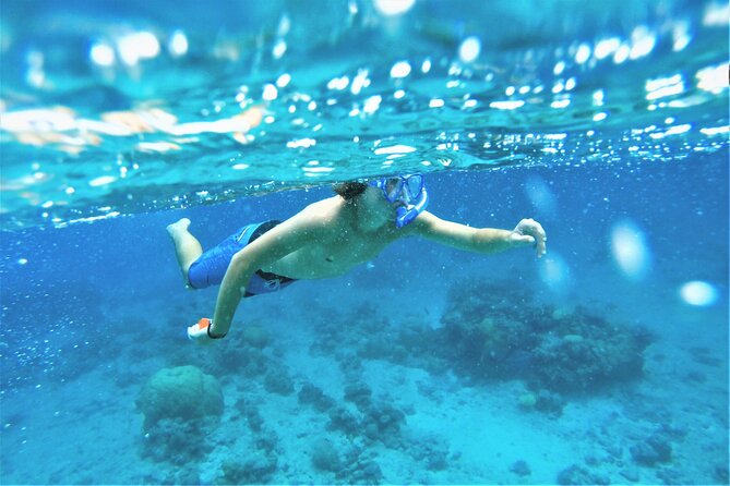 Snorkel Adventure Through the Sea of Cortez - Recommended Gear