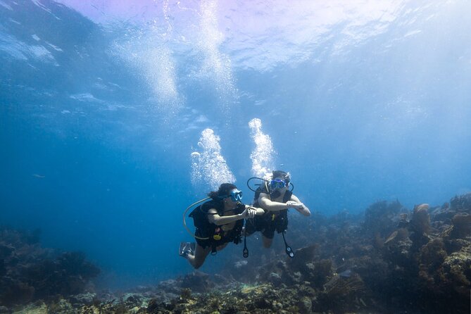 Snorkel Tour - Visit 2 Shallow Reefs John Pennekamp State Park - Boat Cruise and Scenic Views
