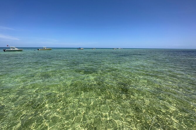 SNORKELING and SANDBAR ADVENTURE! - Health and Safety Considerations