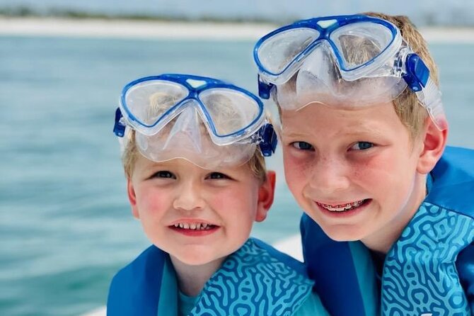 Snorkeling, Dolphin and Wildlife Sightings at St. Andrews Bay - Spotting Dolphins and Coastal Wildlife
