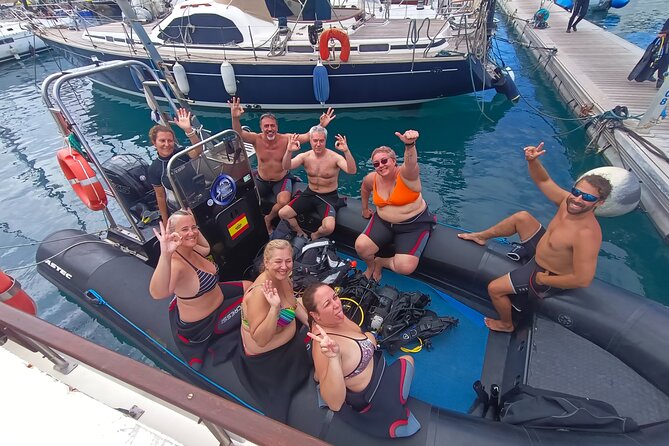 Snorkeling in a Wonderful Volcanic Bay - Underwater Sights and Encounters