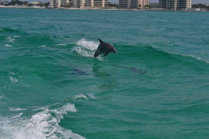 Snorkeling, Shelling & Eco Excursion - Meeting Point and Parking