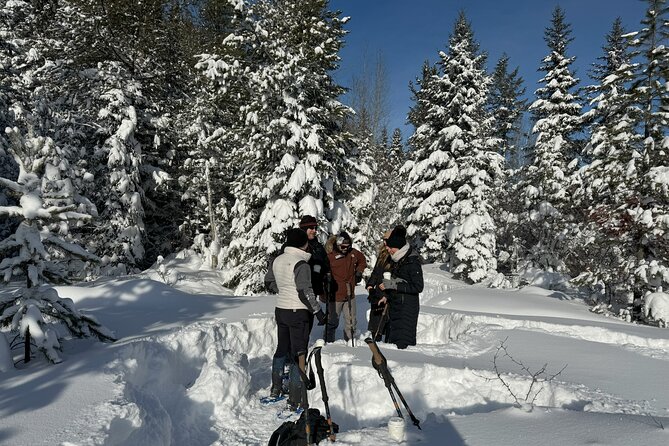 Snowshoe Day Tour In Glacier National Park - Lunch and Refreshments Provided