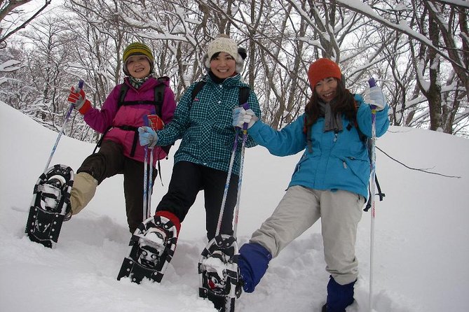 Snowshoe Tour - Health and Accessibility