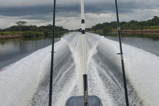 Sonnys Boat Tours Half Day Fishing Charter Review - Customer Testimonials
