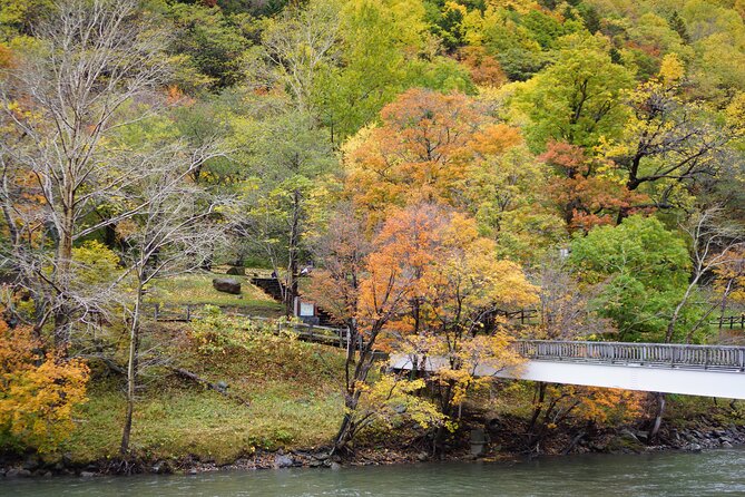 Sounkyo Gorge Autumn Leaves Ice Pavilion Day Tour by Private Car - Accessibility and Health Requirements