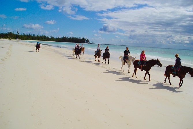 Split Cruise to Grand Bahamas - Tips for a Successful Trip