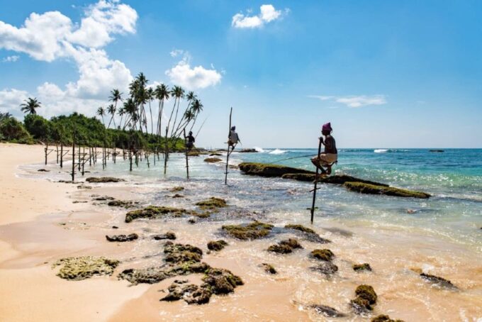 Sri Lanka Rainforest Trekking, Wildlife Safari, Water Sport - Check-in/Check-out
