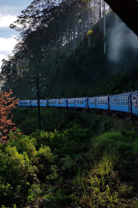 Sri Lanka: Wildlife Tour, Rainforest, National Park, - Train Journey Through Hill Country