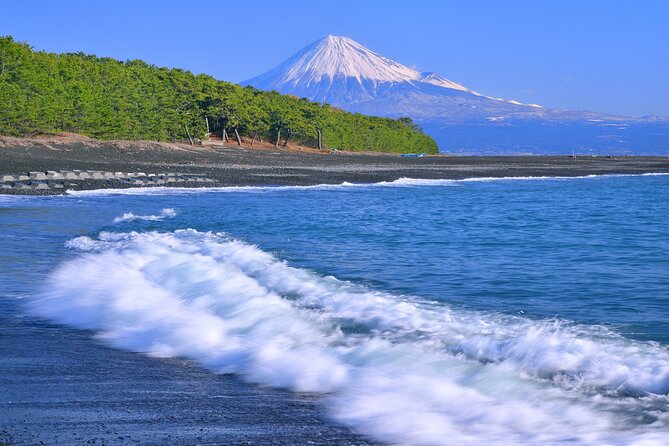 Step-Free Easy Going Tour From Shimizu Port / Van Taxi - Highlights of the Tour