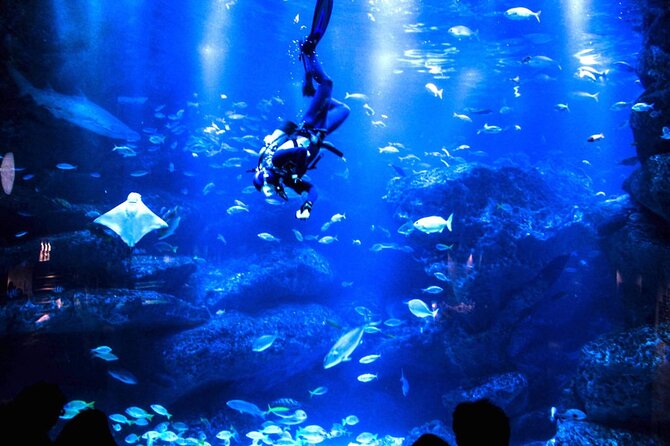 Sumida Aquarium Ticket Tokyo - Contact Information