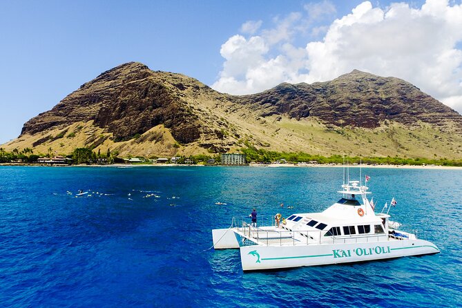 Sunset Dolphin Watch Cruise Review - Photo Opportunities