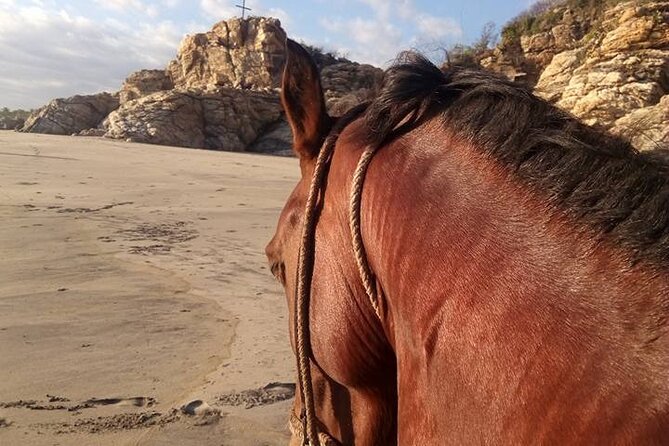 Sunset Eco Horse Tour in Mazunte - Ideal for Couples and Solo Travelers