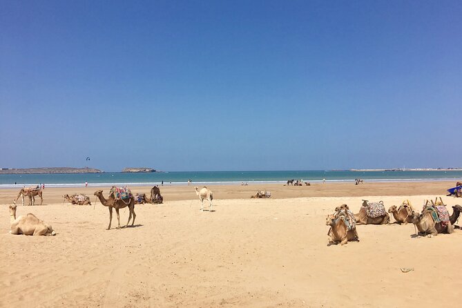 Supratours Marrakech to Essaouira Moroccan Bus Tickets - Alternative Transportation Options