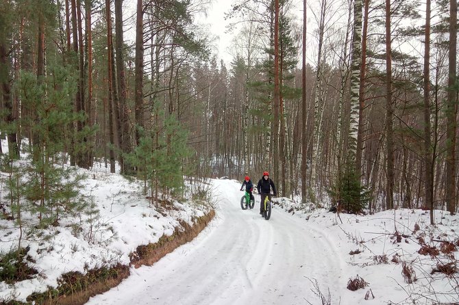 Swamps & Bogs Fat Bike Tour in Visaginas - Booking and Cancellation Policy