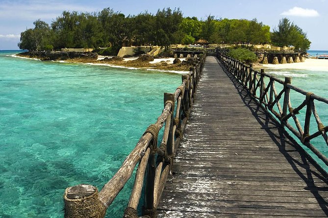 Swim With Dolphin & Jozani Forest National Park Tour Sea Trip - Zanzibar - Tips for a Memorable Experience