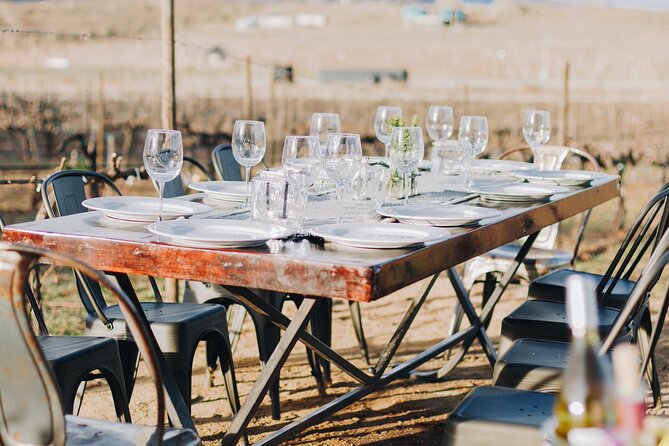 Tasting and Tour Through the Vineyard - Tips for Your Visit