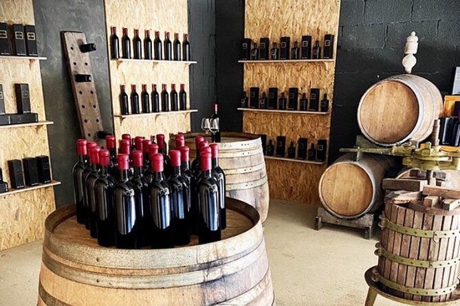 Tasting of Vernaccia, Chianti and Extra Virgin Olive Oil - Vernaccia Di San Gimignano