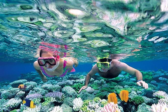 The Best Catamaran Tour to Isla Mujeres From Cancún - Tips for a Great Experience