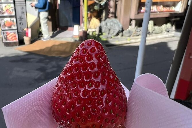 The Taste of Tsukiji A Tokyo Fish Market Food Tour With Guide - Tour Details and Booking