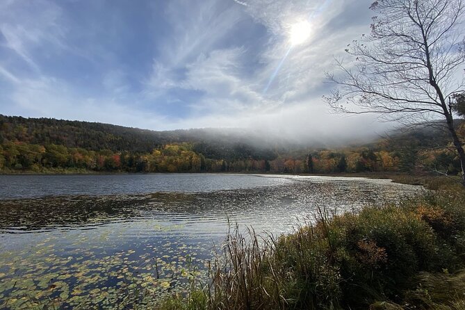 The Way Life Should Be: 4-hr, Private Guided Tour of Acadia NP. - Tips for a Memorable Tour Experience