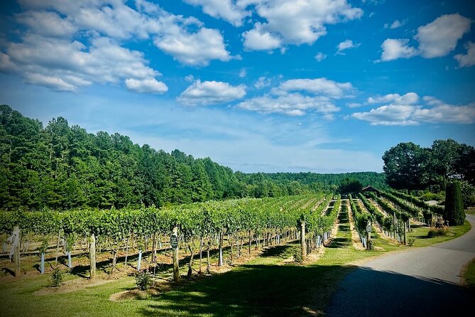 Three Vineyards Half Day Private Wine Tour From Asheville - Explore Parker-Binns Vineyard